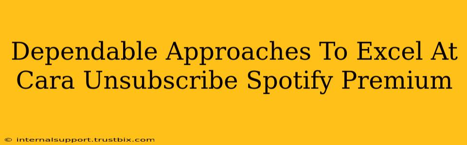 Dependable Approaches To Excel At Cara Unsubscribe Spotify Premium