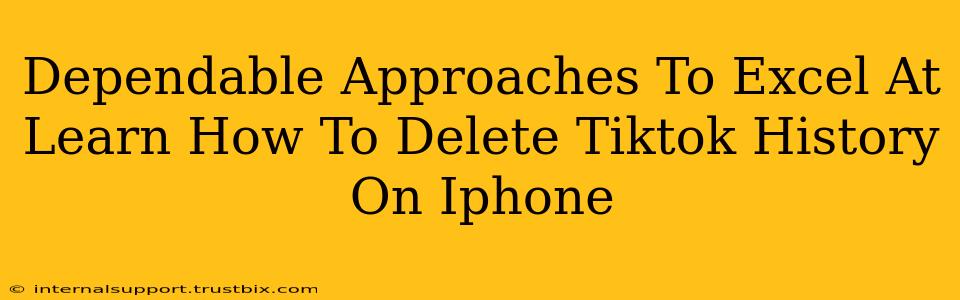 Dependable Approaches To Excel At Learn How To Delete Tiktok History On Iphone