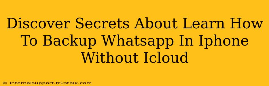 Discover Secrets About Learn How To Backup Whatsapp In Iphone Without Icloud