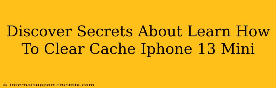 Discover Secrets About Learn How To Clear Cache Iphone 13 Mini