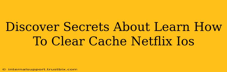 Discover Secrets About Learn How To Clear Cache Netflix Ios