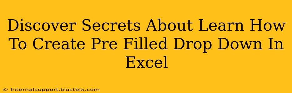 Discover Secrets About Learn How To Create Pre Filled Drop Down In Excel