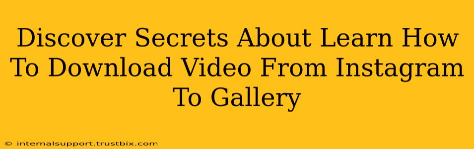 Discover Secrets About Learn How To Download Video From Instagram To Gallery