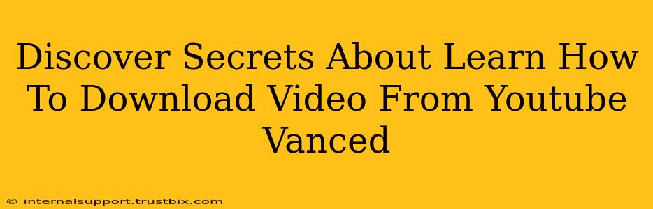 Discover Secrets About Learn How To Download Video From Youtube Vanced