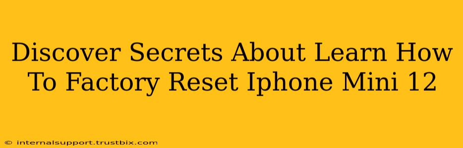 Discover Secrets About Learn How To Factory Reset Iphone Mini 12