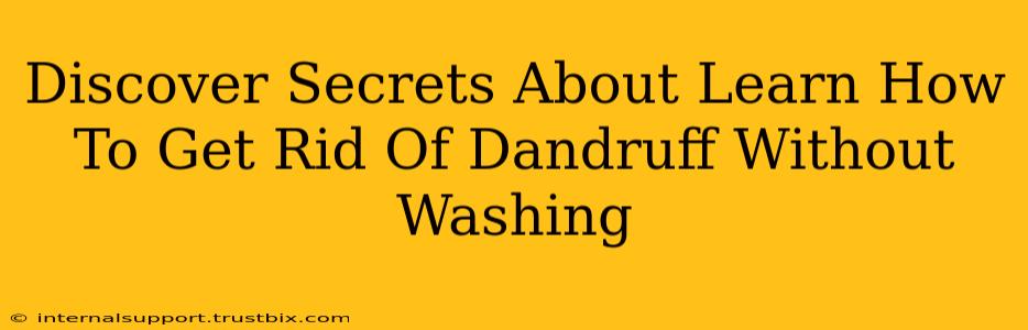 Discover Secrets About Learn How To Get Rid Of Dandruff Without Washing