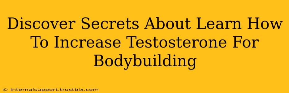 Discover Secrets About Learn How To Increase Testosterone For Bodybuilding