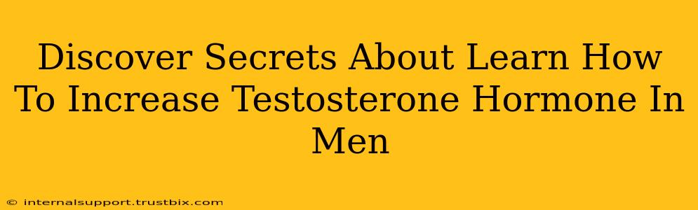 Discover Secrets About Learn How To Increase Testosterone Hormone In Men