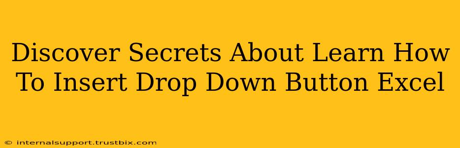 Discover Secrets About Learn How To Insert Drop Down Button Excel