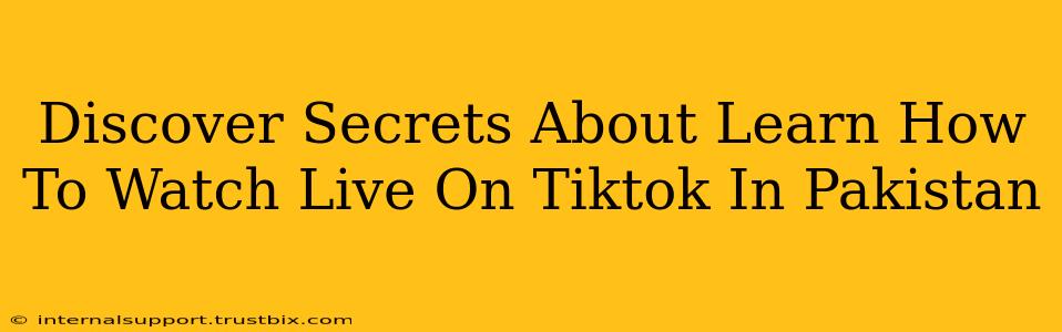 Discover Secrets About Learn How To Watch Live On Tiktok In Pakistan