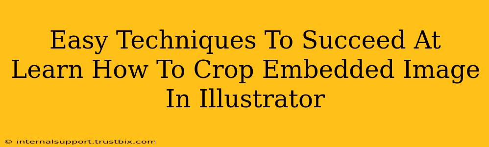 Easy Techniques To Succeed At Learn How To Crop Embedded Image In Illustrator