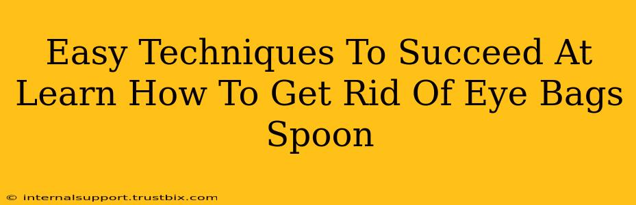 Easy Techniques To Succeed At Learn How To Get Rid Of Eye Bags Spoon