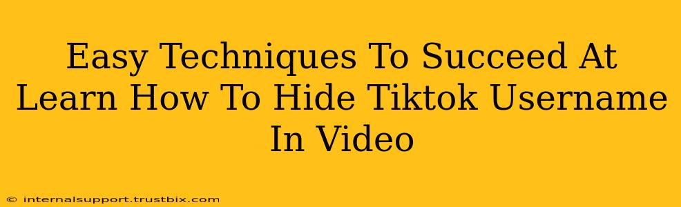 Easy Techniques To Succeed At Learn How To Hide Tiktok Username In Video