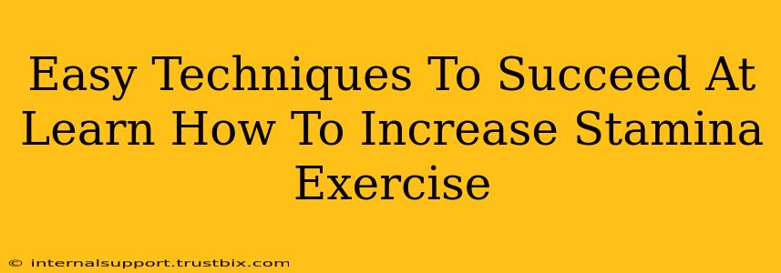 Easy Techniques To Succeed At Learn How To Increase Stamina Exercise