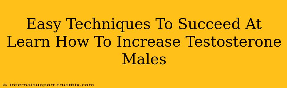 Easy Techniques To Succeed At Learn How To Increase Testosterone Males