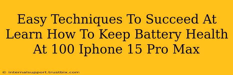 Easy Techniques To Succeed At Learn How To Keep Battery Health At 100 Iphone 15 Pro Max