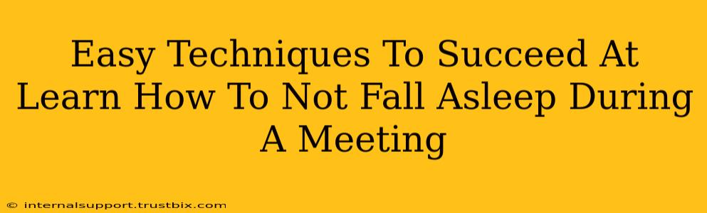 Easy Techniques To Succeed At Learn How To Not Fall Asleep During A Meeting