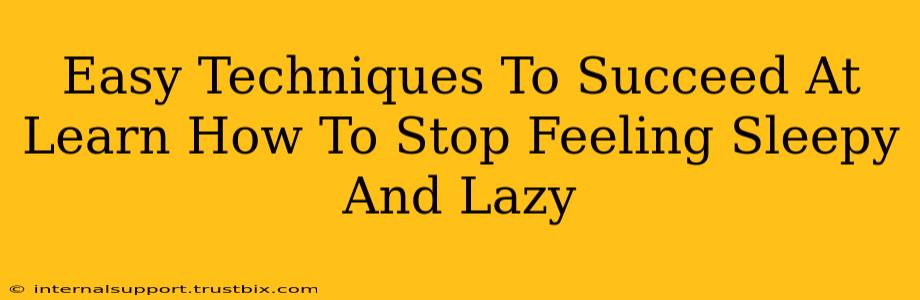 Easy Techniques To Succeed At Learn How To Stop Feeling Sleepy And Lazy