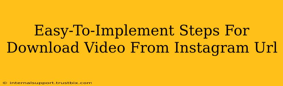Easy-To-Implement Steps For Download Video From Instagram Url