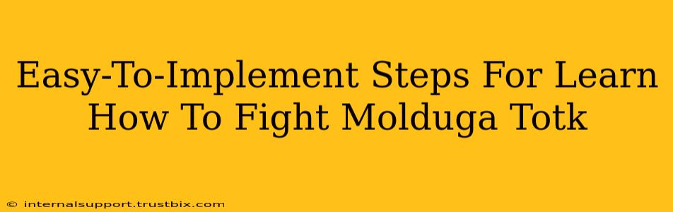 Easy-To-Implement Steps For Learn How To Fight Molduga Totk