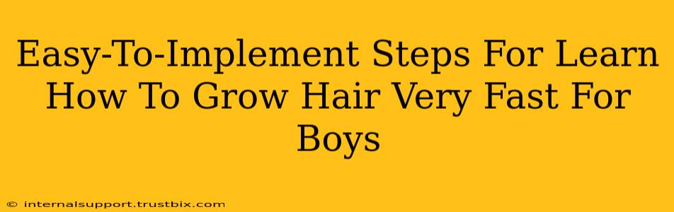 Easy-To-Implement Steps For Learn How To Grow Hair Very Fast For Boys