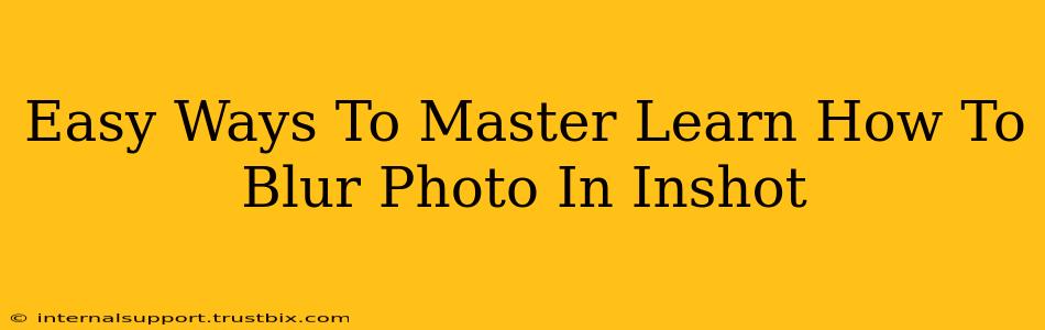 Easy Ways To Master Learn How To Blur Photo In Inshot