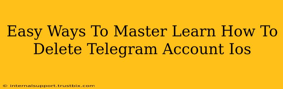 Easy Ways To Master Learn How To Delete Telegram Account Ios