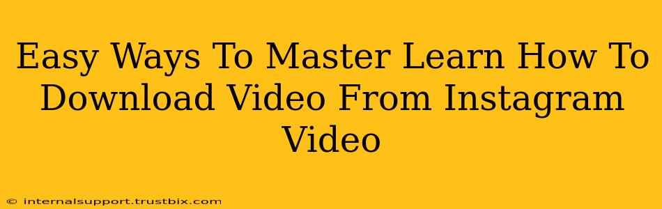 Easy Ways To Master Learn How To Download Video From Instagram Video