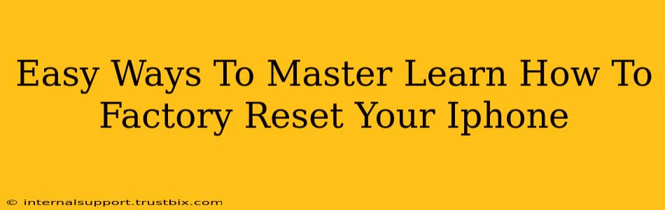 Easy Ways To Master Learn How To Factory Reset Your Iphone