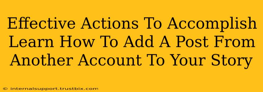 Effective Actions To Accomplish Learn How To Add A Post From Another Account To Your Story