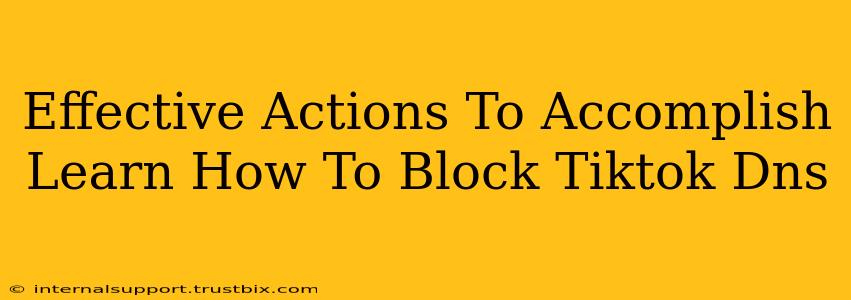 Effective Actions To Accomplish Learn How To Block Tiktok Dns