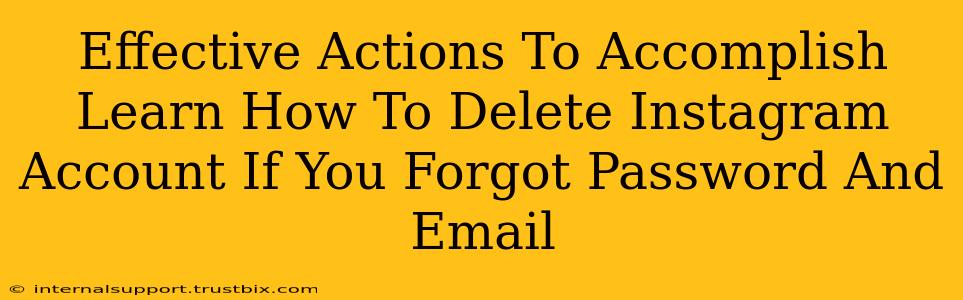 Effective Actions To Accomplish Learn How To Delete Instagram Account If You Forgot Password And Email