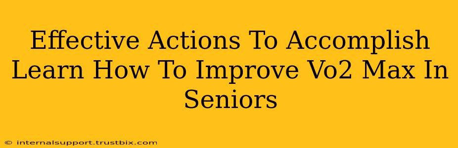 Effective Actions To Accomplish Learn How To Improve Vo2 Max In Seniors