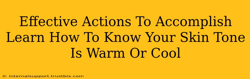 Effective Actions To Accomplish Learn How To Know Your Skin Tone Is Warm Or Cool