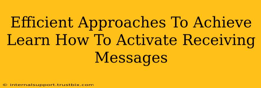 Efficient Approaches To Achieve Learn How To Activate Receiving Messages