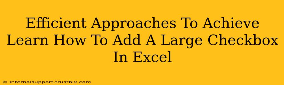 Efficient Approaches To Achieve Learn How To Add A Large Checkbox In Excel