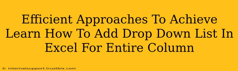 Efficient Approaches To Achieve Learn How To Add Drop Down List In Excel For Entire Column