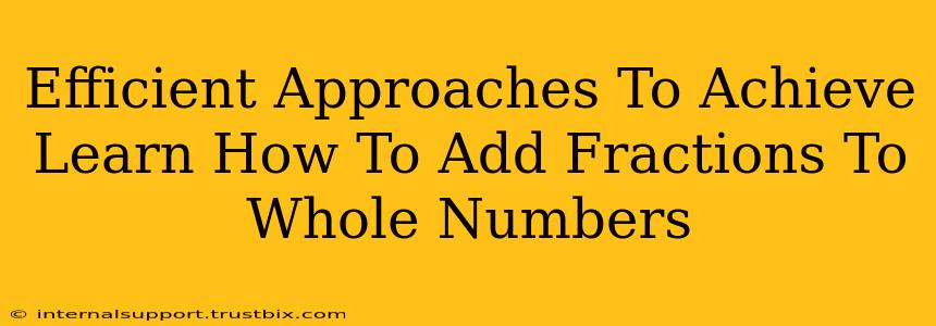 Efficient Approaches To Achieve Learn How To Add Fractions To Whole Numbers