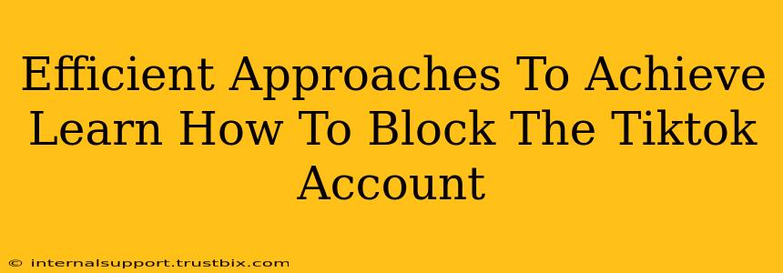 Efficient Approaches To Achieve Learn How To Block The Tiktok Account