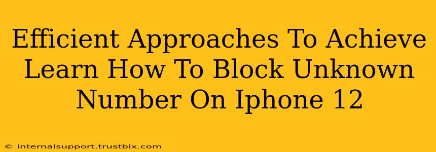 Efficient Approaches To Achieve Learn How To Block Unknown Number On Iphone 12