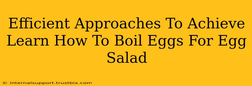 Efficient Approaches To Achieve Learn How To Boil Eggs For Egg Salad