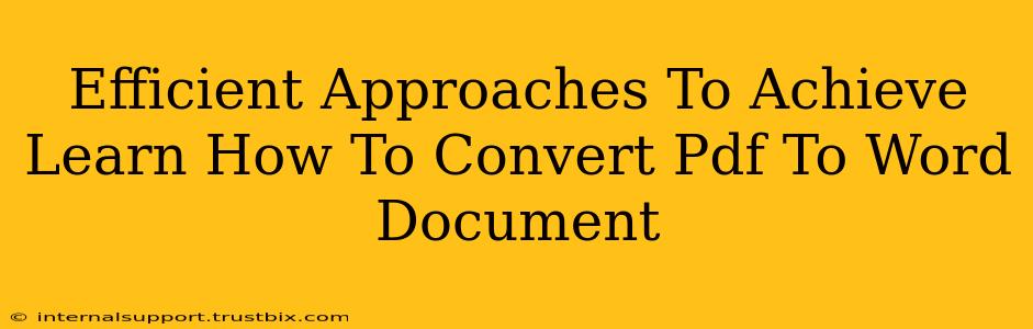 Efficient Approaches To Achieve Learn How To Convert Pdf To Word Document