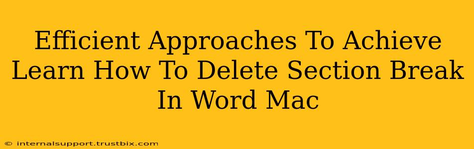 Efficient Approaches To Achieve Learn How To Delete Section Break In Word Mac