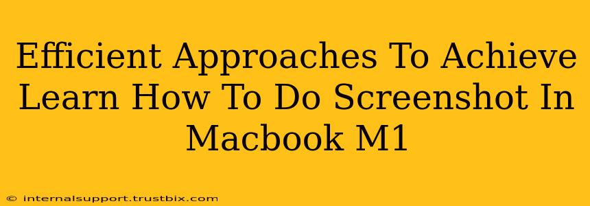 Efficient Approaches To Achieve Learn How To Do Screenshot In Macbook M1