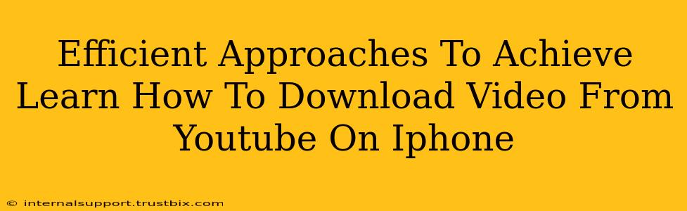 Efficient Approaches To Achieve Learn How To Download Video From Youtube On Iphone