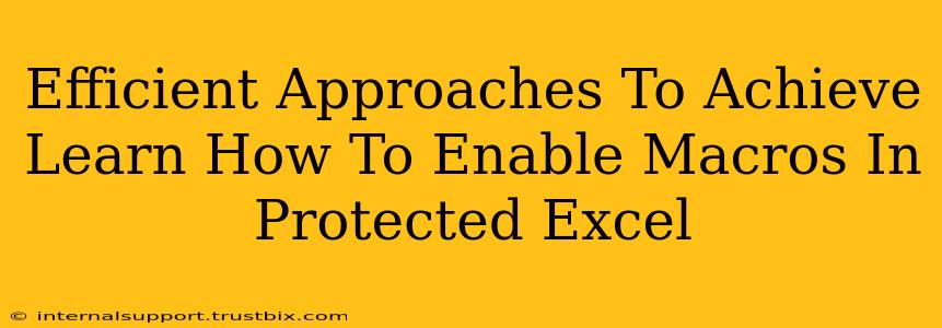 Efficient Approaches To Achieve Learn How To Enable Macros In Protected Excel