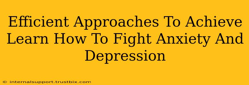 Efficient Approaches To Achieve Learn How To Fight Anxiety And Depression