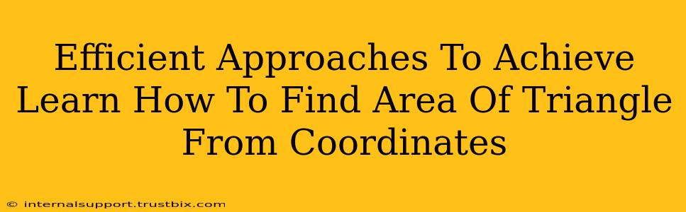 Efficient Approaches To Achieve Learn How To Find Area Of Triangle From Coordinates