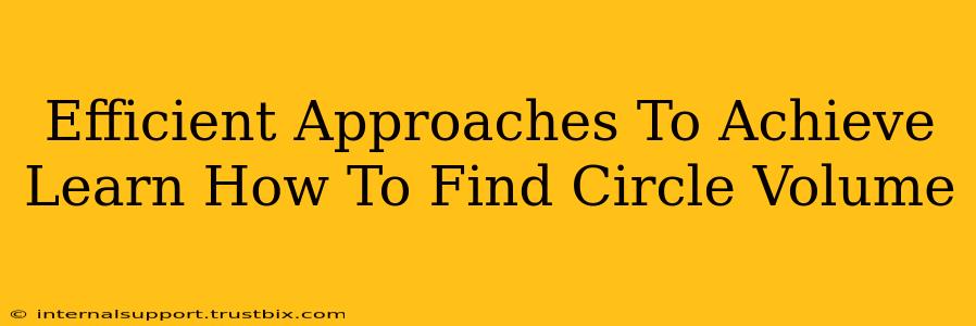 Efficient Approaches To Achieve Learn How To Find Circle Volume