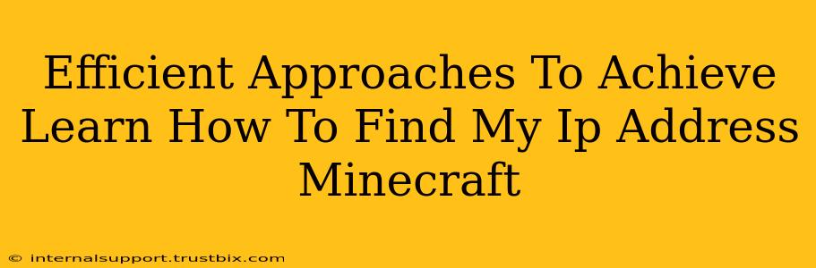 Efficient Approaches To Achieve Learn How To Find My Ip Address Minecraft